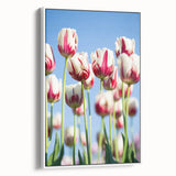 Vintage poster art of spring season on extra large framed canvas, featuring colorful art on a black background.