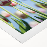 Art deco poster featuring a spring theme with pastel colors on rolled canvas, suitable for dining room wall art.