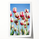Rolled print of spring-themed floral art with soft pastel colors, ideal for dining room or bathroom wall decor.