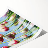 Extra large rolled print featuring line art flowers in pastel shades, ideal for large living room wall art.