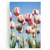 Black and white abstract depiction of spring on large stretched canvas, suitable for kitchen wall art.