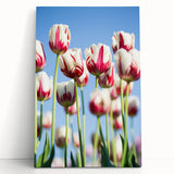 Black and white abstract tree design on large stretched canvas, ideal for kitchen wall art or bedroom ambiance.