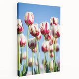 Spring-themed stretched canvas depicting blooming trees in vibrant green and pink hues, ideal for kitchen wall art.
