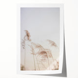 Extra large rolled canvas featuring a floral design in pastel shades, ideal for dining room or bathroom wall art.