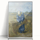 Impressionist Wall Art - Peasant Woman Binding Sheaves by Van Gogh