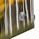 Forest Blaze – Abstract Autumn Trunks in Dynamic Vertical Motion