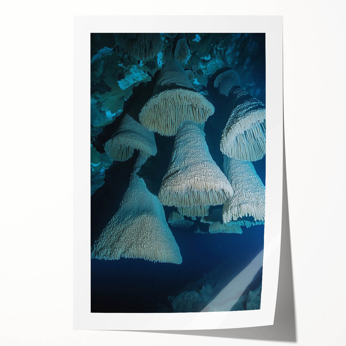Vibrant rolled print showcasing a stunning landscape with intricate cave formations, perfect for home decor. Packaged securely in a protective cardboard tube for safe shipping.