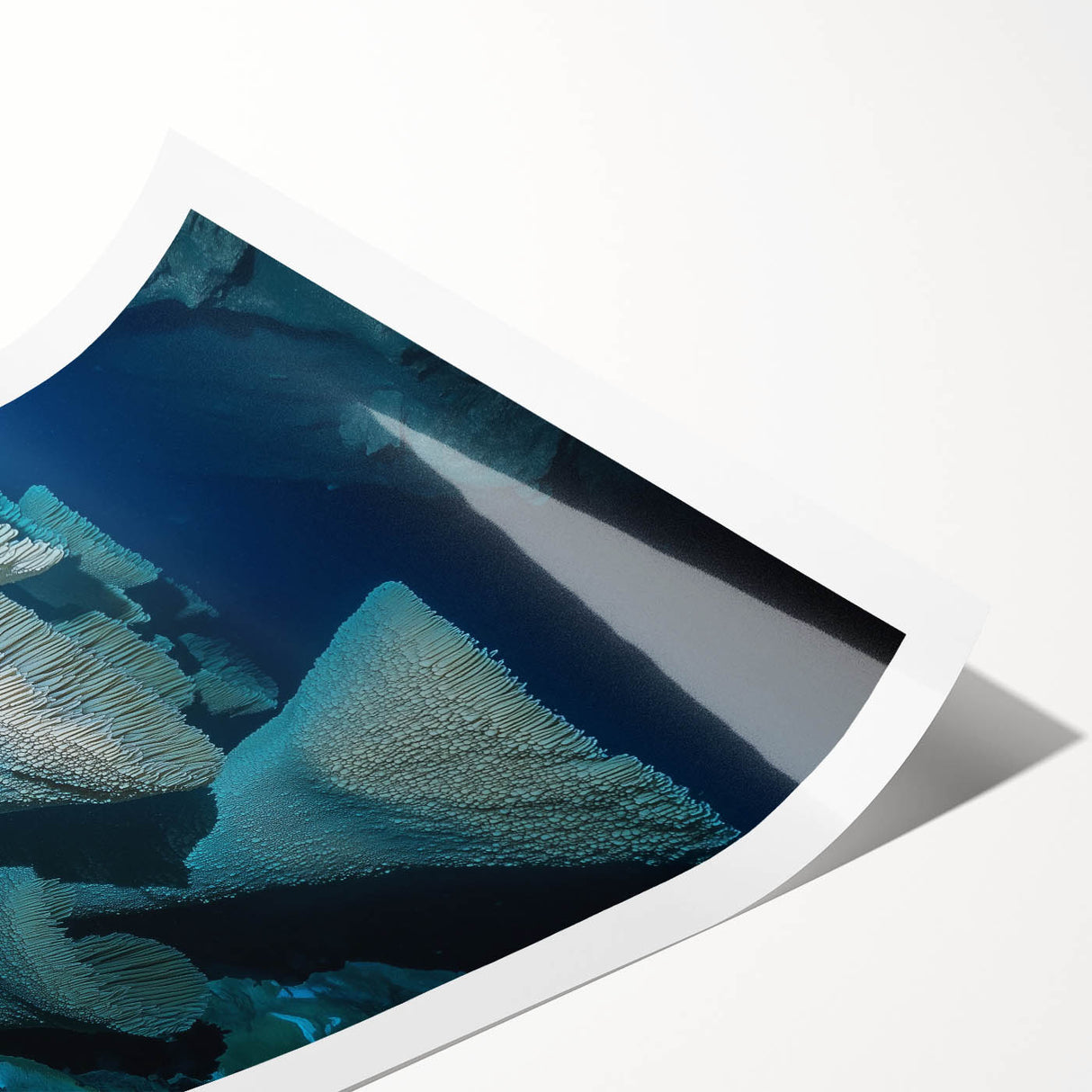 Stunning rolled canvas print showcasing a vibrant landscape with intricate cave formations, beautifully packaged in a durable cardboard tube for safe delivery.