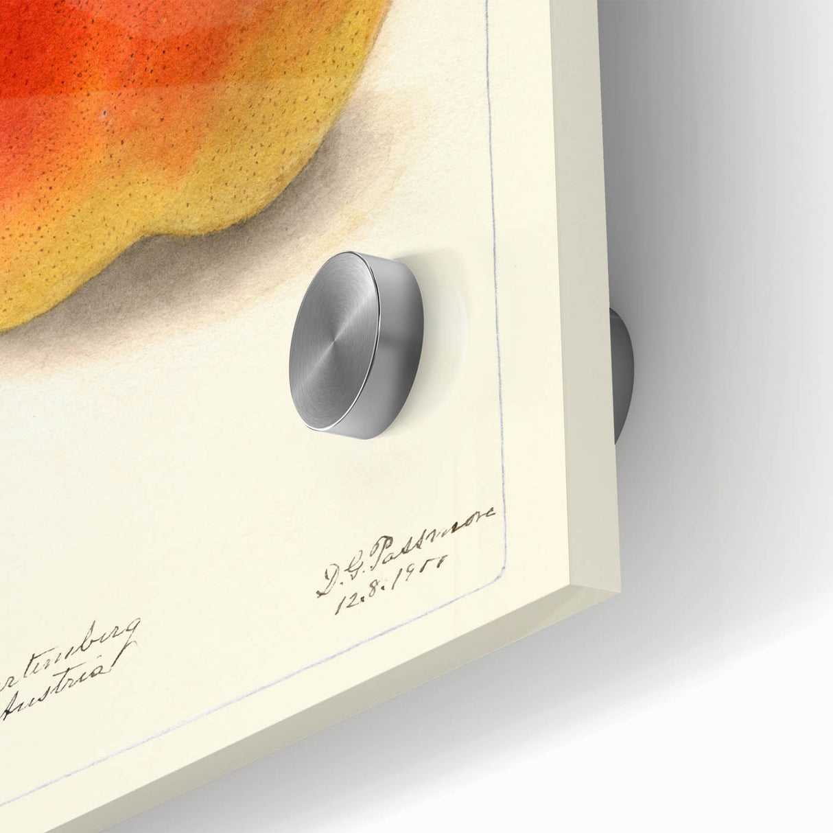 Large abstract wall art featuring assorted fruits in vibrant colors on acrylic glass, ideal for dining room decor.