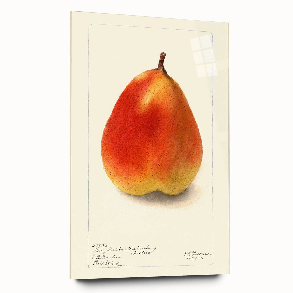 Large abstract wall art featuring assorted fruits in vibrant colors on acrylic glass, ideal for bedroom or dining room decor.