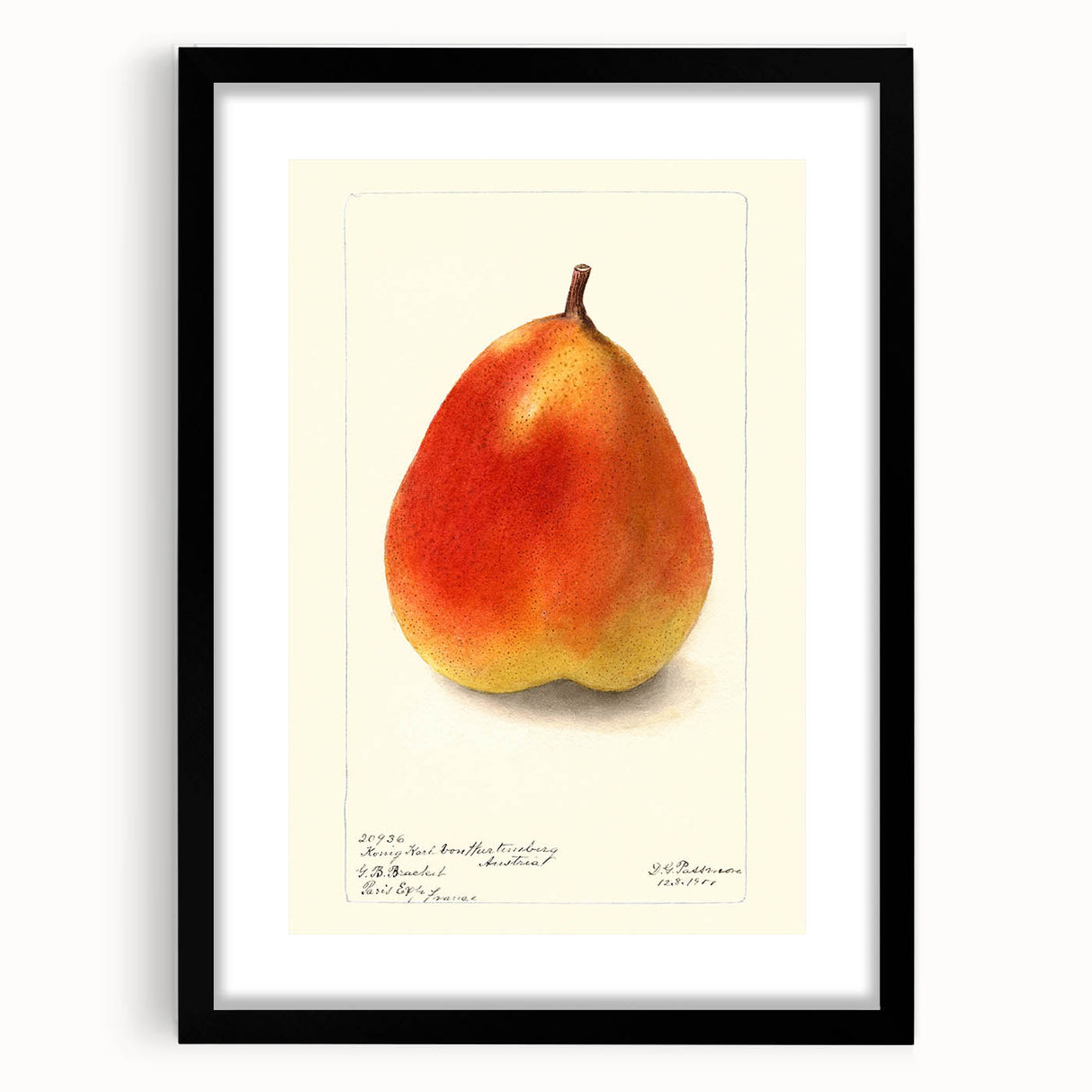 Extra large abstract art print featuring colorful, textured depiction of fruits on black framed canvas.