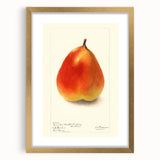 Extra large abstract art print featuring textured fruit motifs in vibrant colors on a framed canvas.