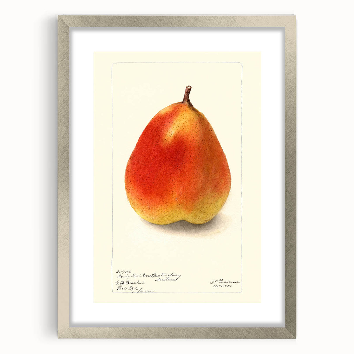 Textured art depicting abstract fruit shapes in vibrant colors on a silver-framed mat, ideal for bedroom art.