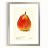 Textured art depicting abstract fruit shapes in vibrant colors on a silver-framed mat, ideal for bedroom art.