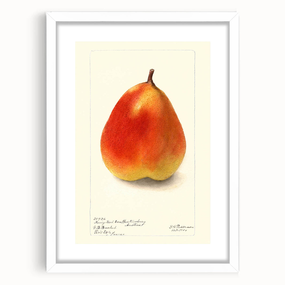 Abstract art print featuring assorted fruits in vibrant colors on a white framed canvas, suitable for dining room decor.