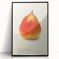 Large abstract wall art featuring assorted fruits in bold colors on a black acrylic framed print.