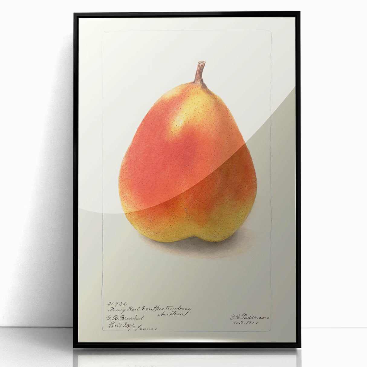 Large abstract wall art featuring assorted fruits in bold colors on a black acrylic framed print.