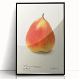Large abstract wall art featuring assorted fruits in bold colors on a black acrylic framed print.