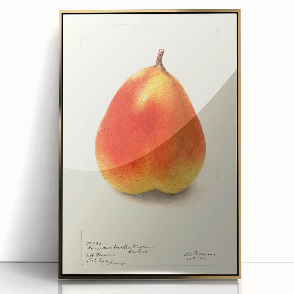 Large art print of colorful fruits in a mid-century modernist style, framed in gold acrylic, suitable for nursery wall decor.