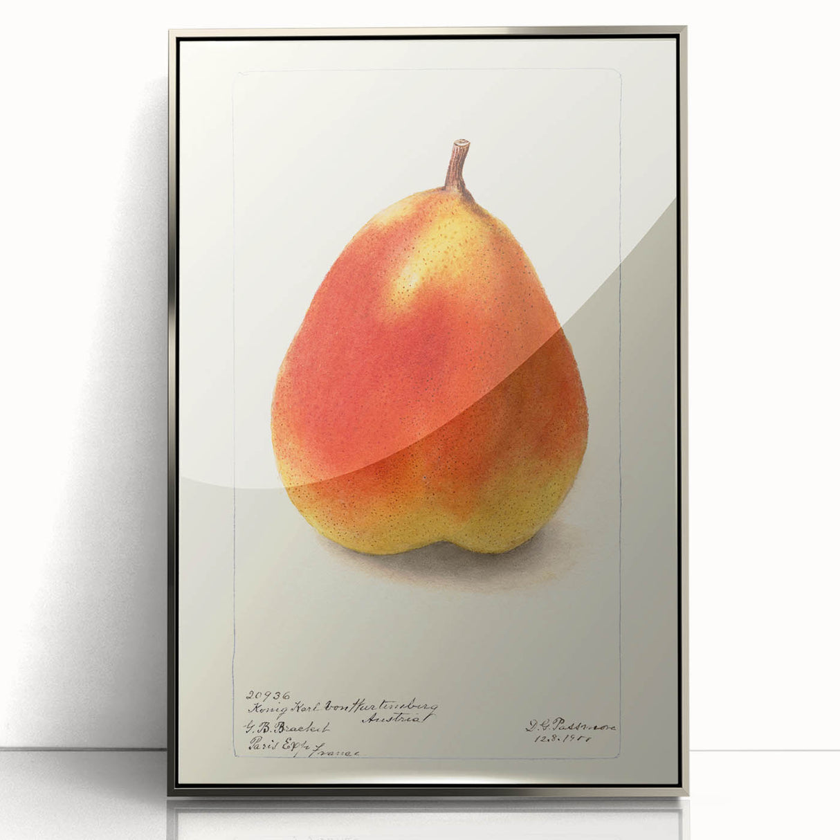 Mid-century modernist art featuring an array of fruits in muted colors, presented in a silver-framed acrylic.
