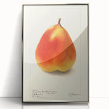 Mid-century modernist art featuring an array of fruits in muted colors, presented in a silver-framed acrylic.
