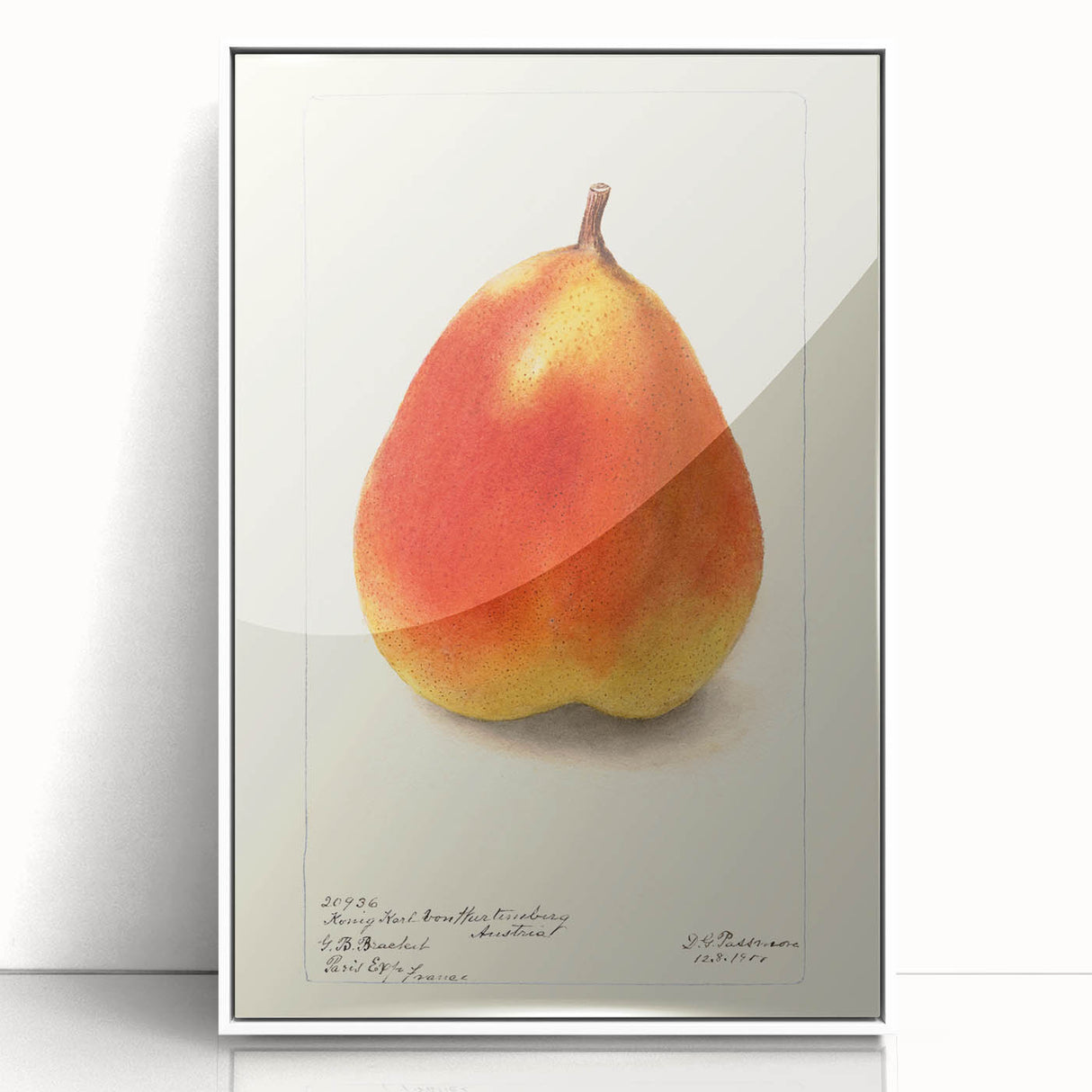 Art deco poster featuring an array of colorful fruits on a white acrylic framed print, ideal for modern kitchen decor.