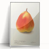 Art deco poster featuring an array of colorful fruits on a white acrylic framed print, ideal for modern kitchen decor.