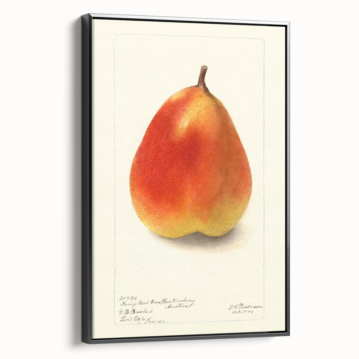 Black and white vintage poster art of a fruit arrangement on framed canvas, suitable for bedroom decor.