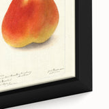 Extra large black wall art on canvas featuring a close-up of colorful, textured fruits, ideal for living room decor.