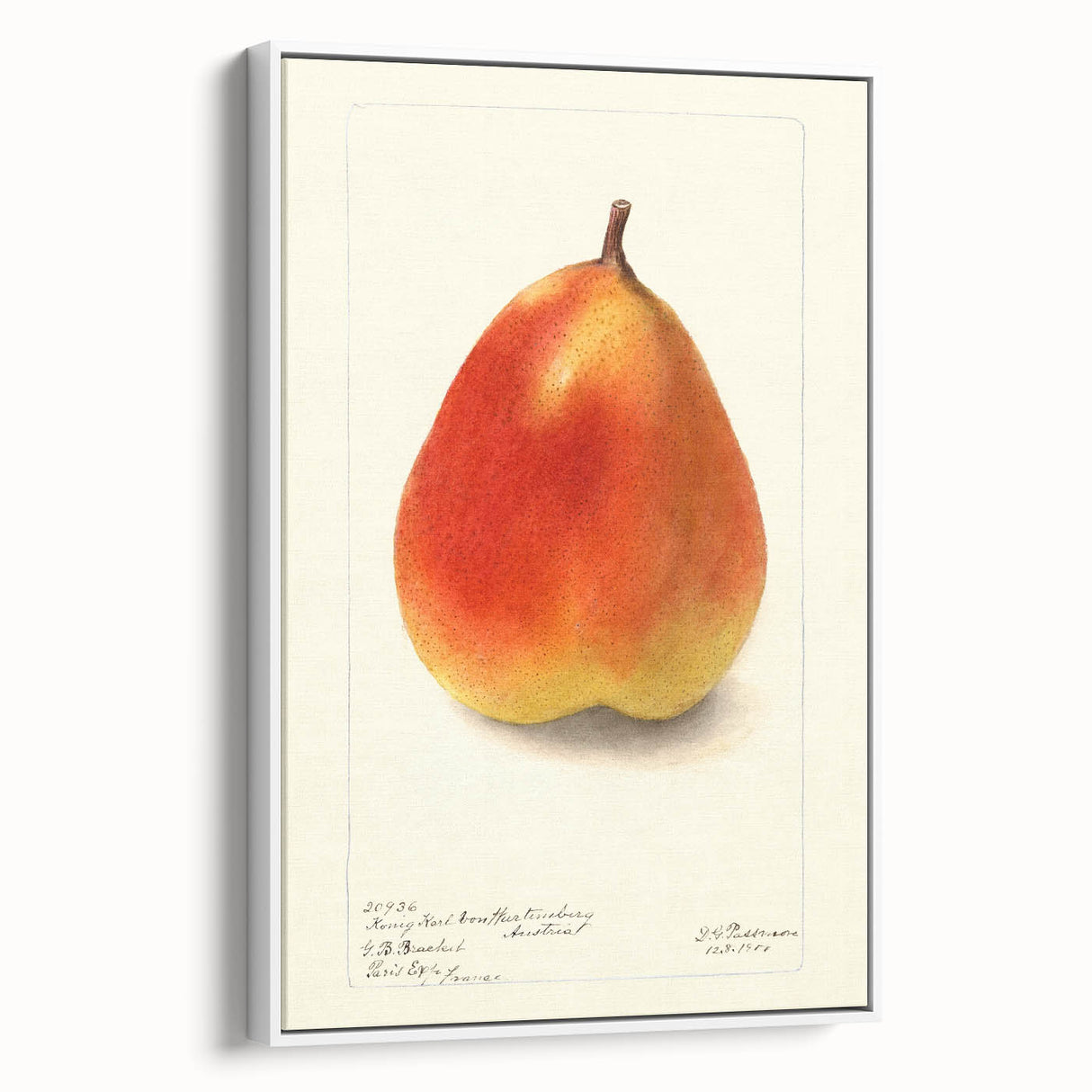 Vintage poster art of colorful fruits on a black background, framed canvas, ideal for living room decor.