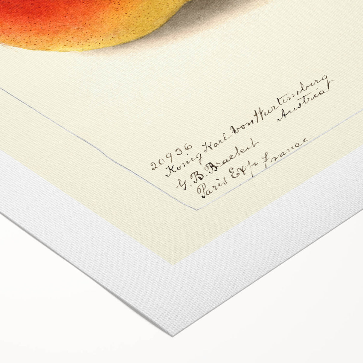 Art deco poster featuring an array of vibrant fruits on a rolled canvas, suitable for dining room wall art.