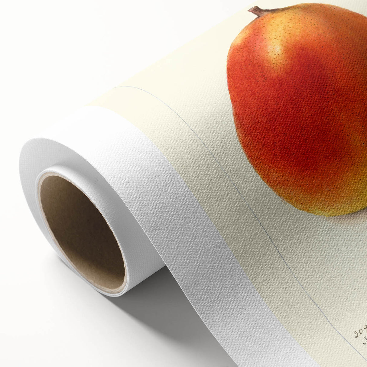 Art Deco style poster featuring assorted fruits in vibrant colors on rolled canvas.