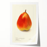 Extra large rolled print featuring an assortment of vibrant fruits, ideal for art wall dining room decor.
