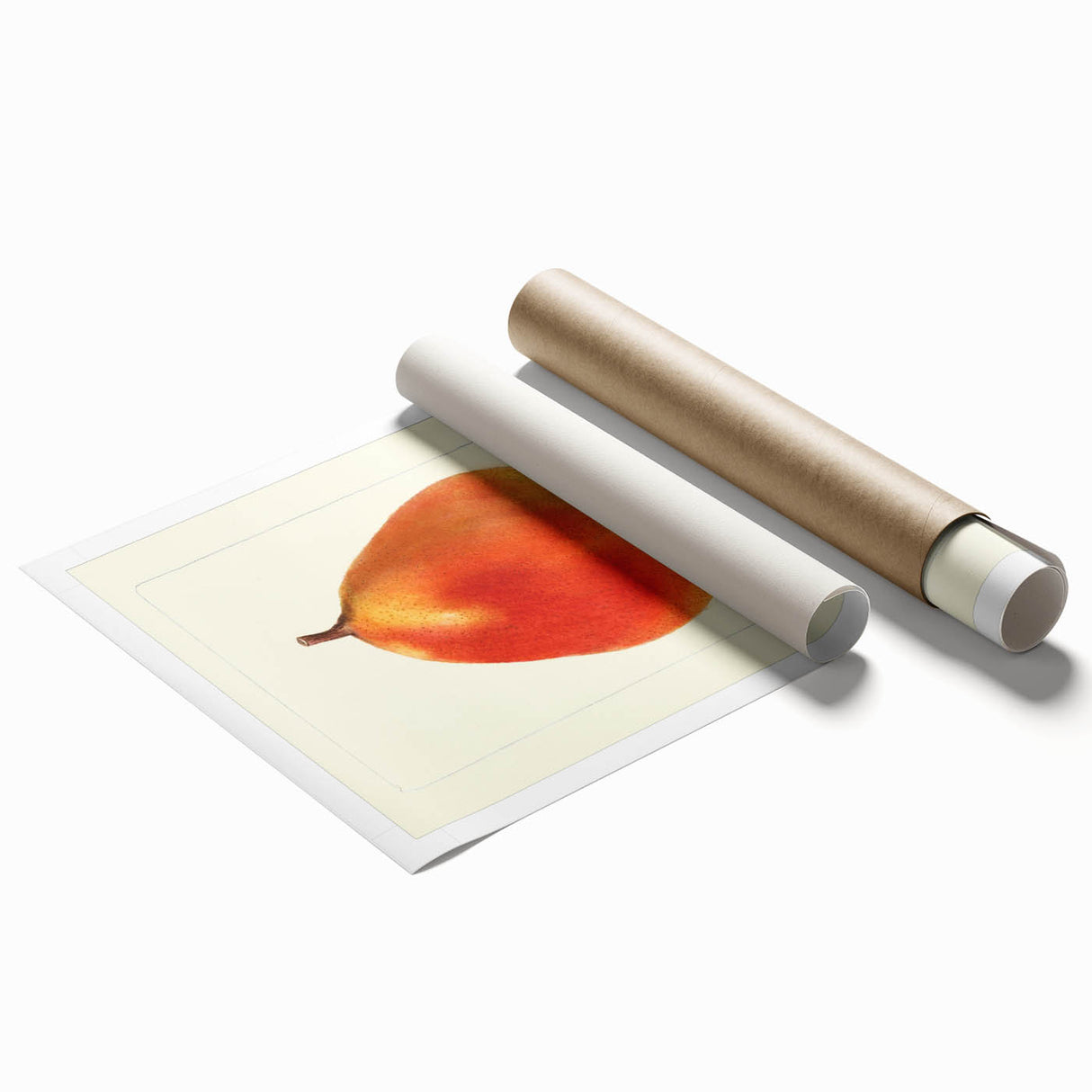 Extra large rolled print featuring assorted fruits in vibrant colors.