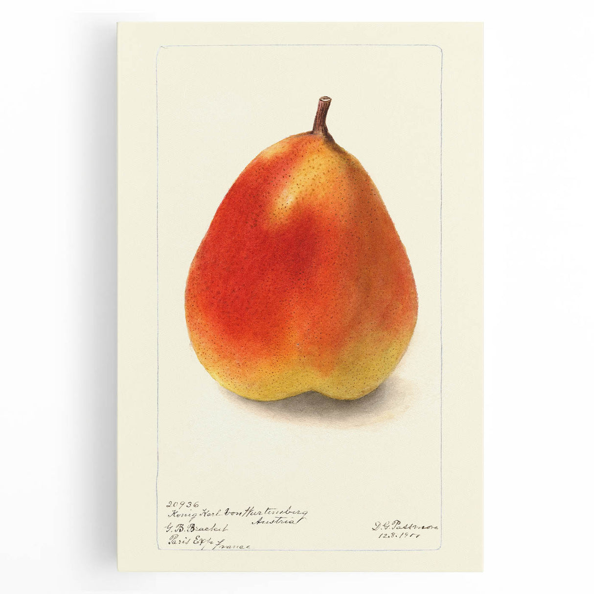 Large black and white canvas print of assorted fruits, ideal for kitchen wall art.