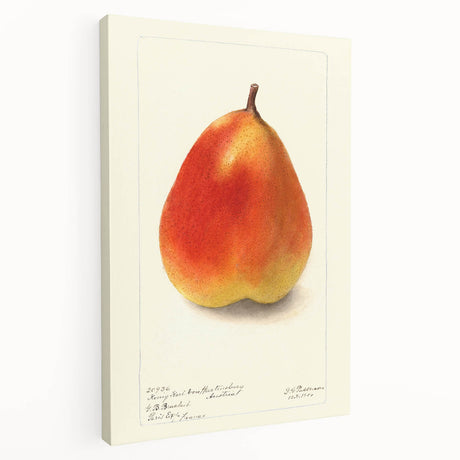 Large canvas wall art featuring an assortment of colorful fruits, suitable for kitchen decor.