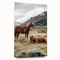 Peaceful Horses Countryside Wall Art - Scenic Rural Landscape Canvas