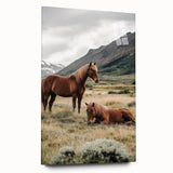 Peaceful Horses Countryside Wall Art - Scenic Rural Landscape Canvas