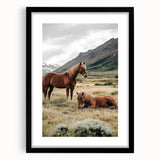 Peaceful Horses Countryside Wall Art - Scenic Rural Landscape Canvas