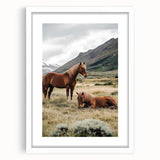 Peaceful Horses Countryside Wall Art - Scenic Rural Landscape Canvas