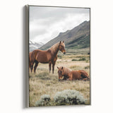 Peaceful Horses Countryside Wall Art - Scenic Rural Landscape Canvas