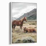 Peaceful Horses Countryside Wall Art - Scenic Rural Landscape Canvas