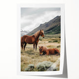 Peaceful Horses Countryside Wall Art - Scenic Rural Landscape Canvas