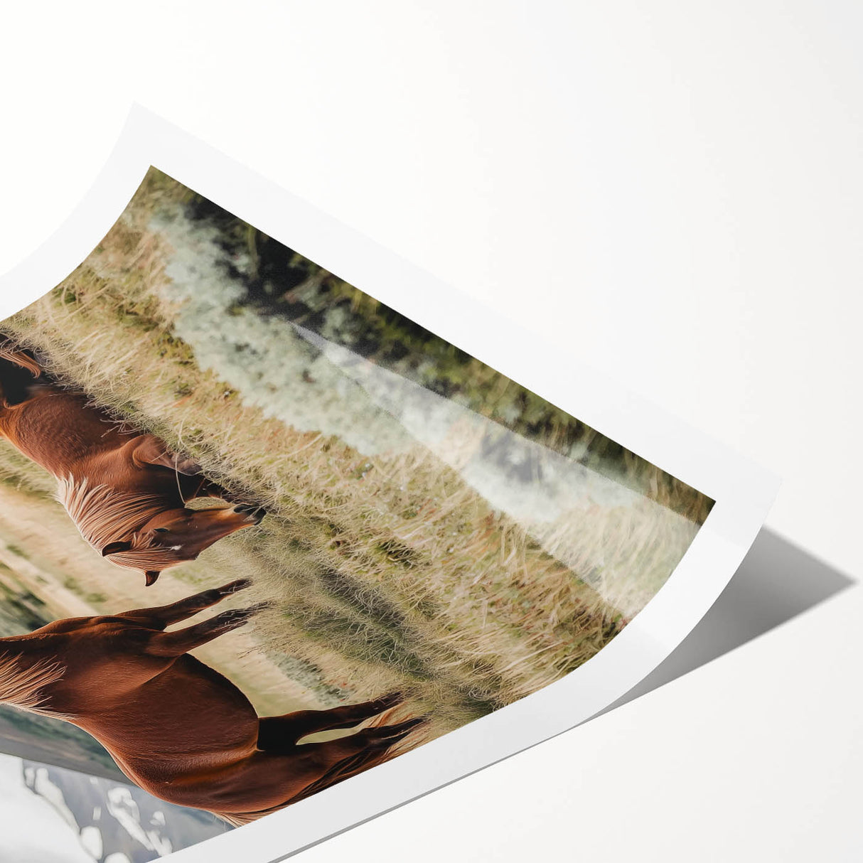 Peaceful Horses Countryside Wall Art - Scenic Rural Landscape Canvas