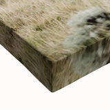 Peaceful Horses Countryside Wall Art - Scenic Rural Landscape Canvas