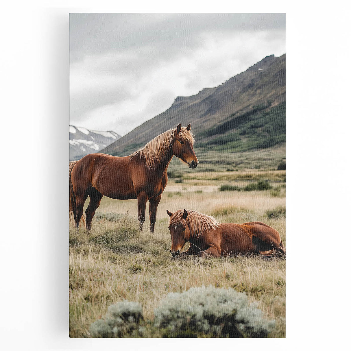 Peaceful Horses Countryside Wall Art - Scenic Rural Landscape Canvas
