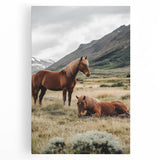 Peaceful Horses Countryside Wall Art - Scenic Rural Landscape Canvas