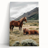 Peaceful Horses Countryside Wall Art - Scenic Rural Landscape Canvas