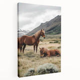 Peaceful Horses Countryside Wall Art - Scenic Rural Landscape Canvas