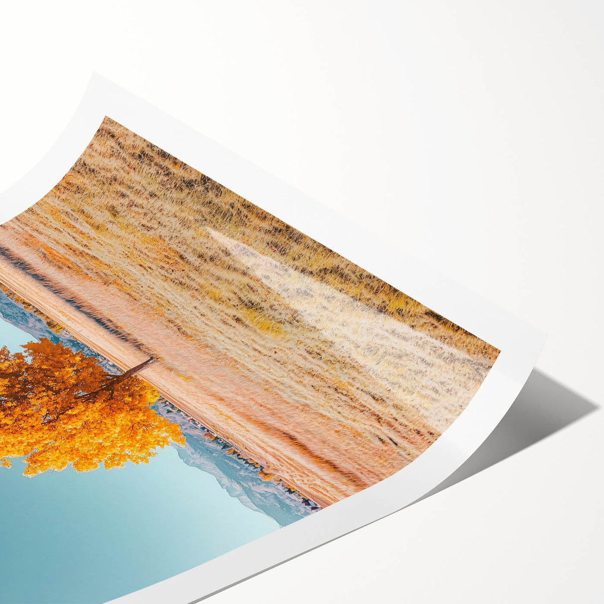Vibrant rolled canvas print showcasing a scenic landscape with golden fields under a blue sky, beautifully packaged in a protective cardboard tube for easy transport.